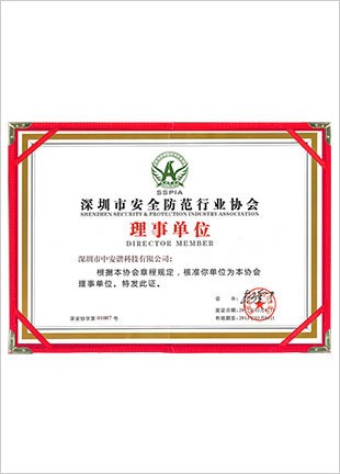 Awarded by the Security Council